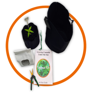 sungrown cannabis kit