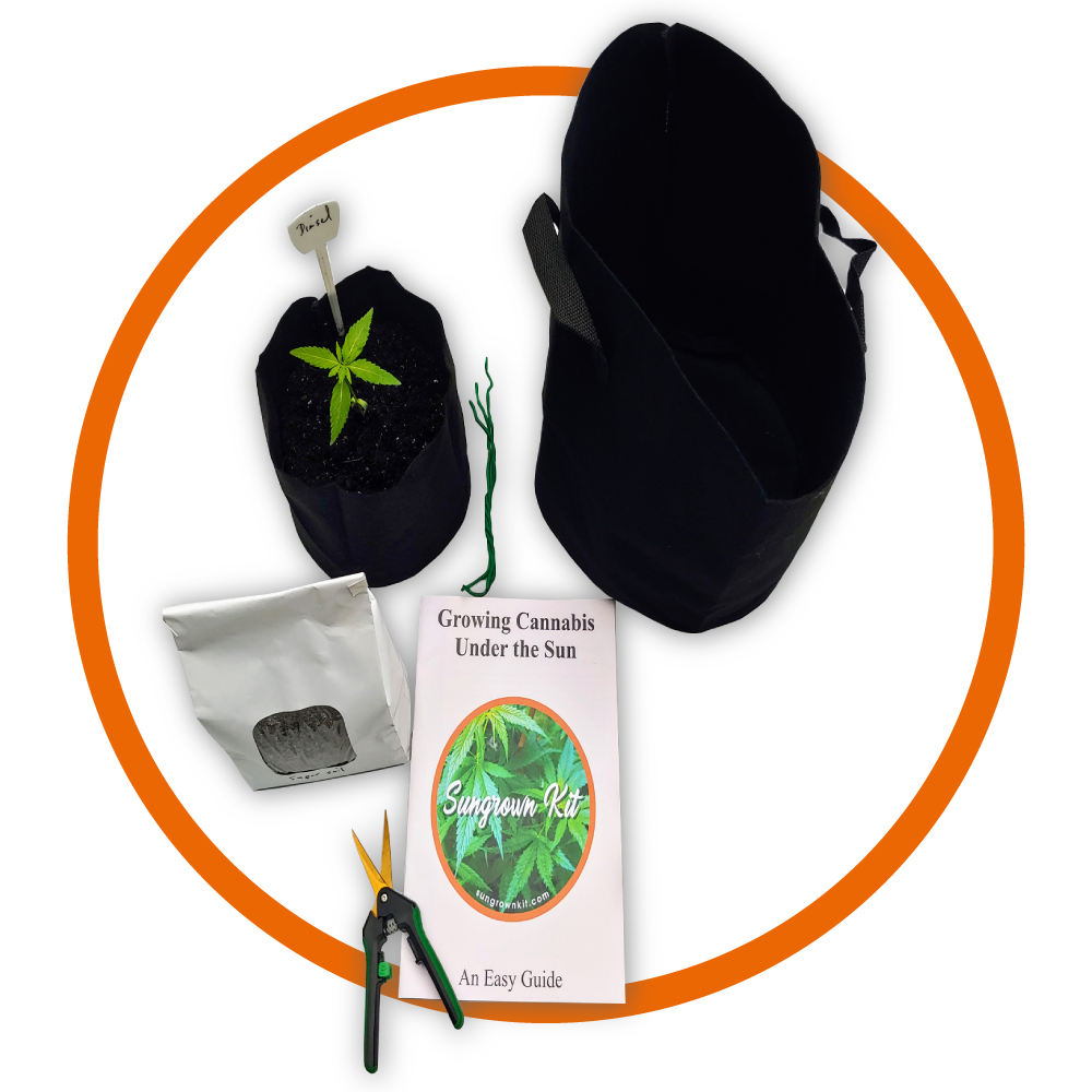 sungrown cannabis kit